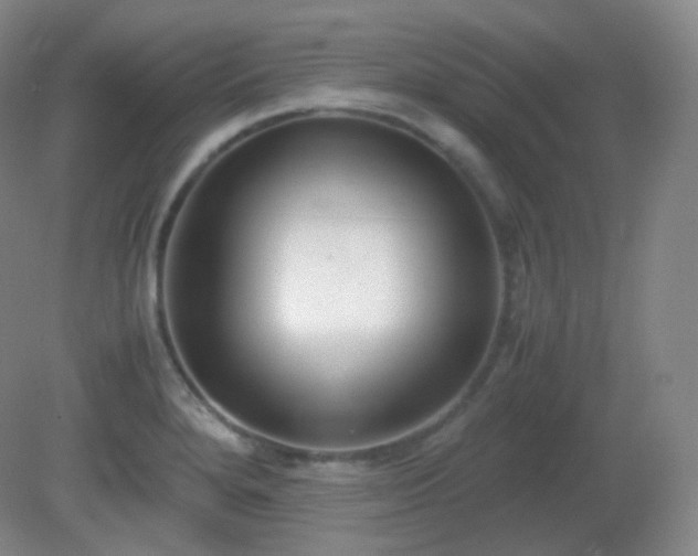 X0000081311280200701181852
