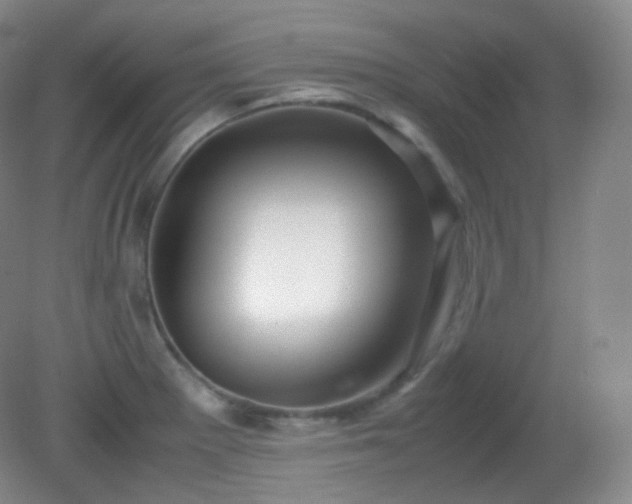 X0000081311281200701181852