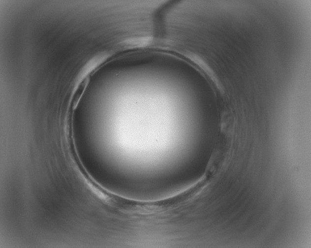 X0000081311285200701181852
