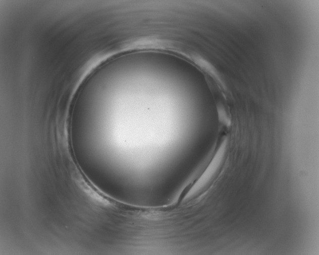 X0000081311288200701181852