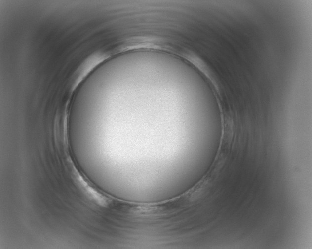 X0000081311290200701181852