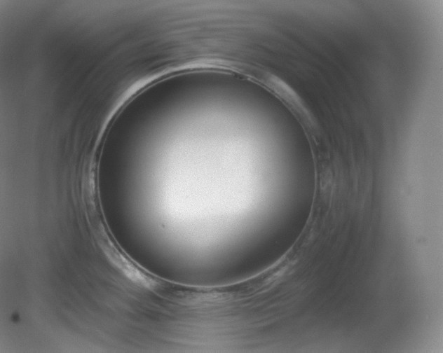 X0000081311292200701181852