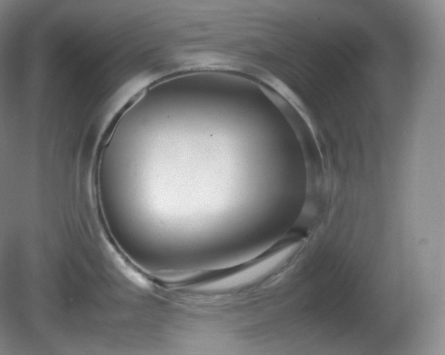 X0000081311293200701181852