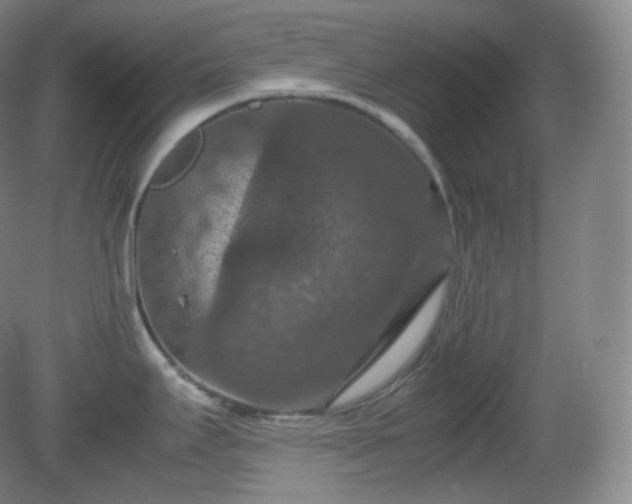 X0000081311295200701181852