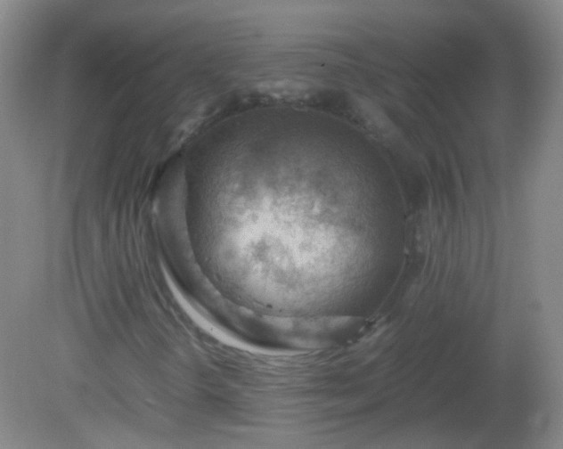 X0000081311298200701181851