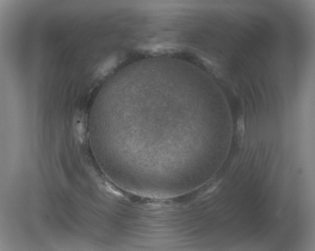 X0000081311300200701181851