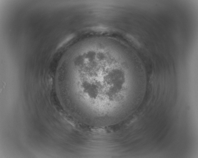 X0000081311302200701181851