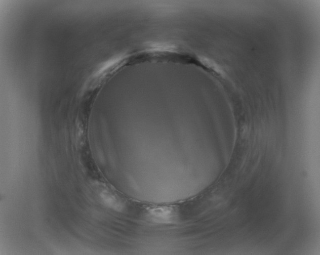 X0000081311303200701181851