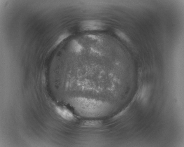 X0000081311305200701181851