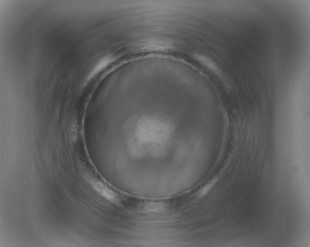 X0000081311306200701181851