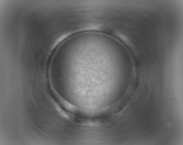 X0000081311308200701181851