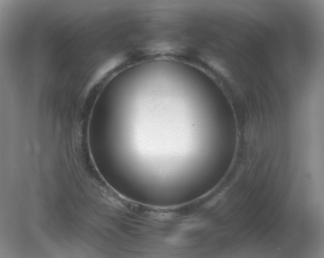 X0000081311309200701181851