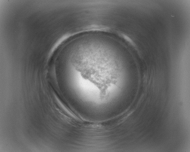 X0000081311310200701181851