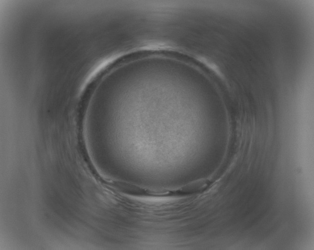 X0000081311311200701181851