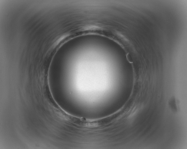 X0000081311313200701181852