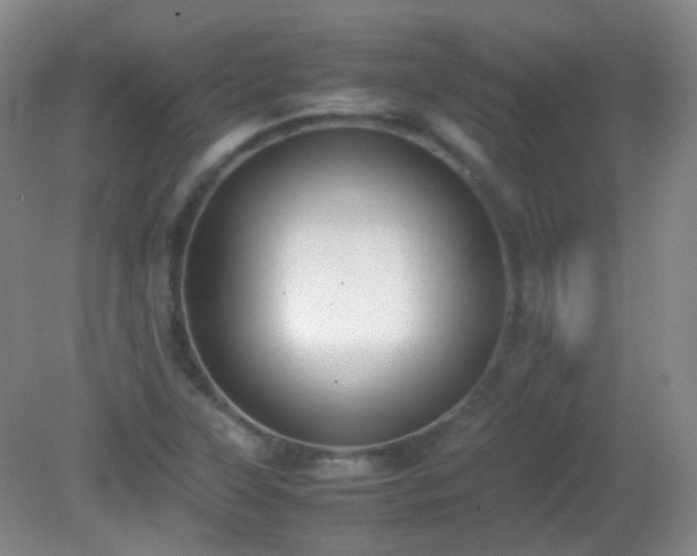 X0000081311315200701181852