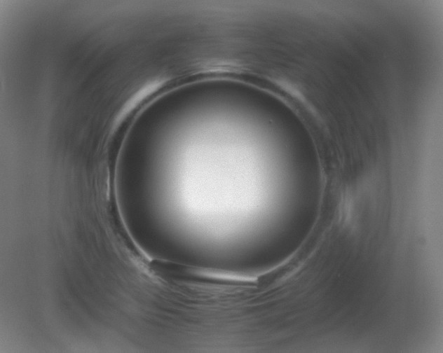 X0000081311317200701181852
