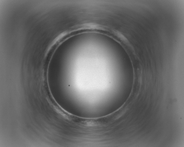 X0000081311318200701181852