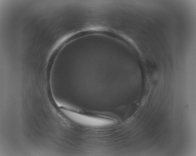 X0000081311319200701181852