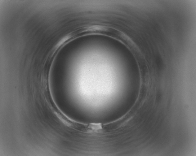 X0000081311321200701181852