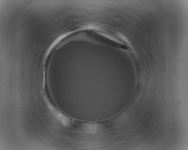 X0000081311323200701181852