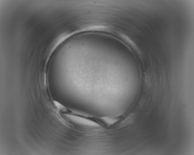 X0000081311324200701181852