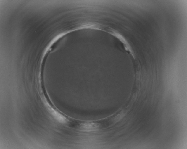 X0000081311331200701181852