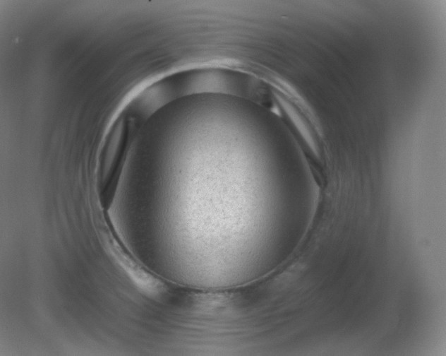 X0000081311332200701181852