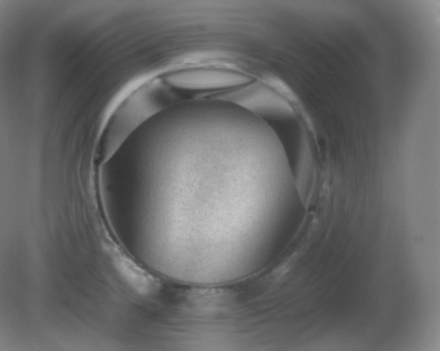 X0000081311336200701181852