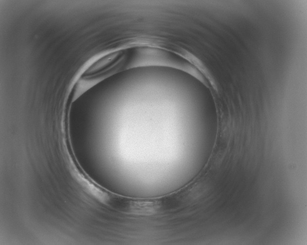 X0000081311339200701181852