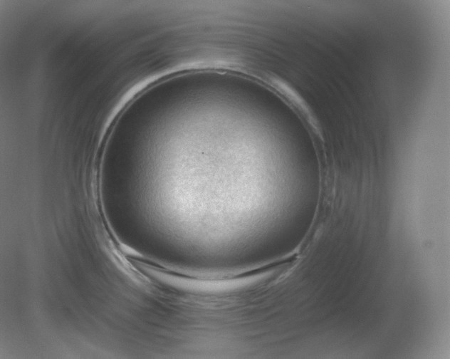 X0000081311340200701181852
