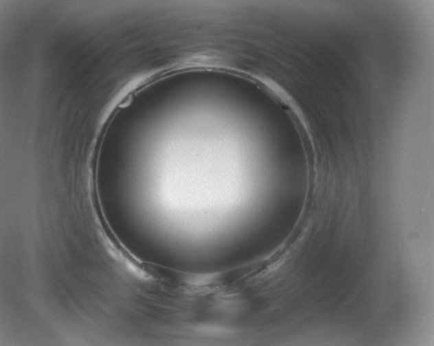 X0000081311341200701181852