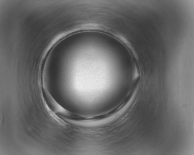 X0000081311342200701181852
