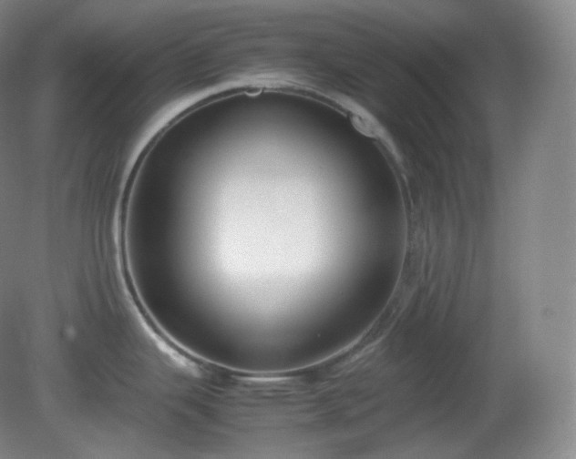 X0000081311343200701181852