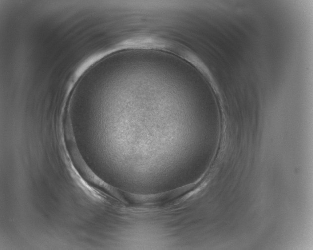 X0000081311344200701181852