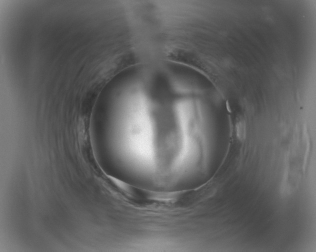 X0000081311347200701181851
