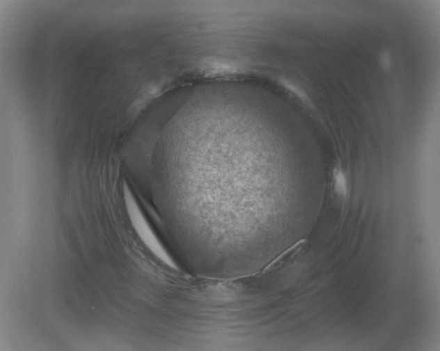 X0000081311348200701181851