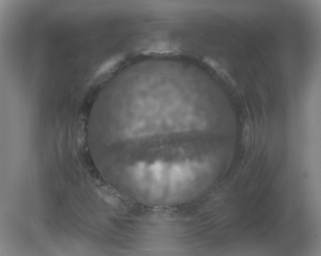 X0000081311350200701181851