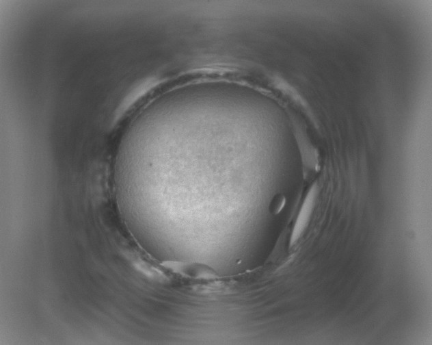 X0000081311352200701181851