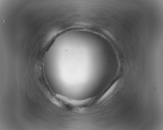 X0000081311355200701181851