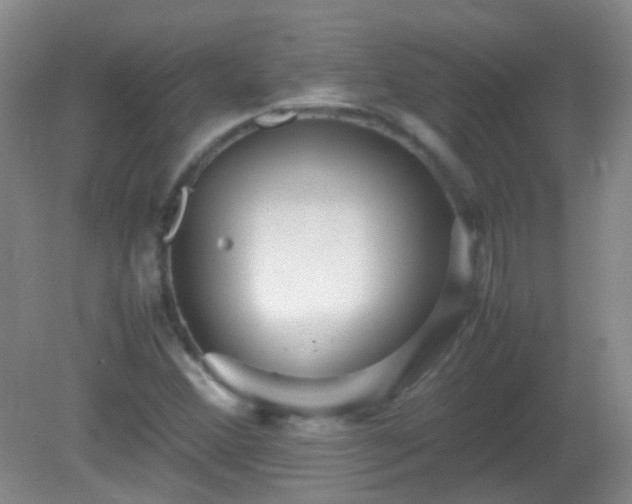 X0000081311356200701181851