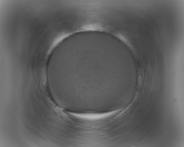 X0000081311358200701181851
