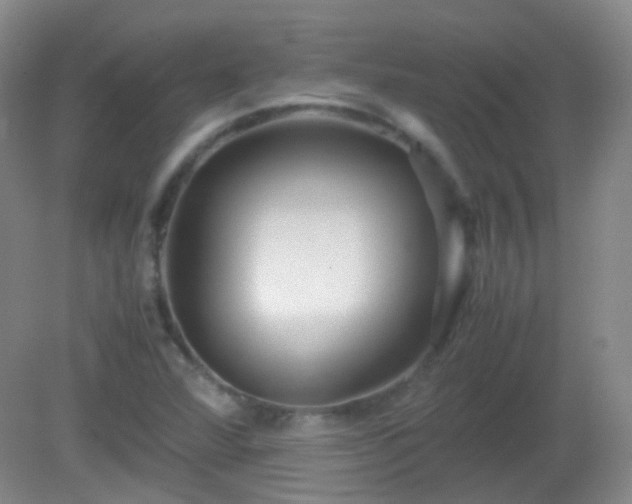 X0000081311360200701181851