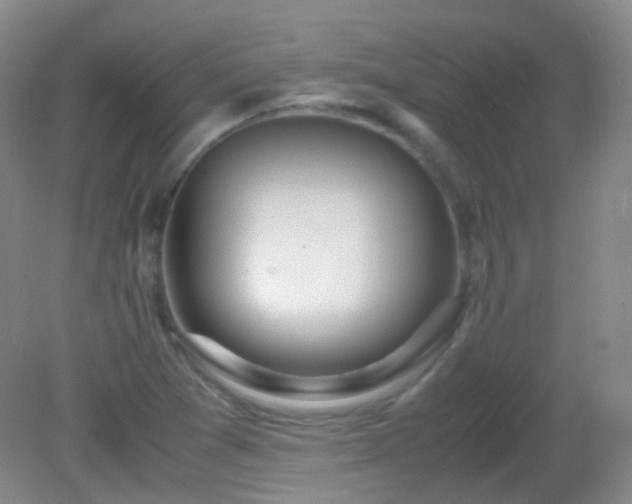 X0000081311361200701181851