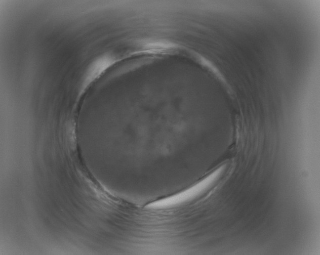 X0000081311362200701181851