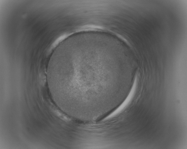 X0000081311363200701181851