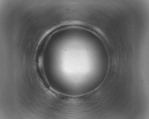 X0000081311364200701181851