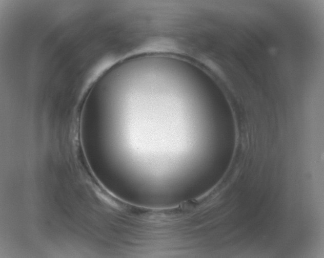 X0000081311366200701181851