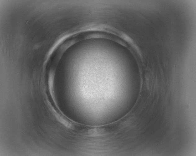 X0000081311368200701181851