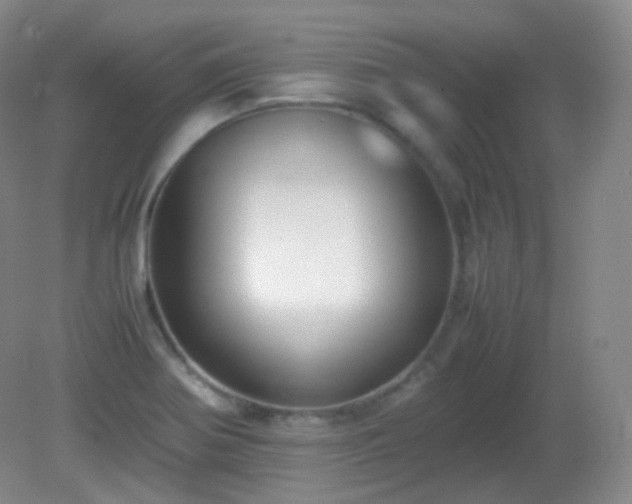 X0000081311370200701181851